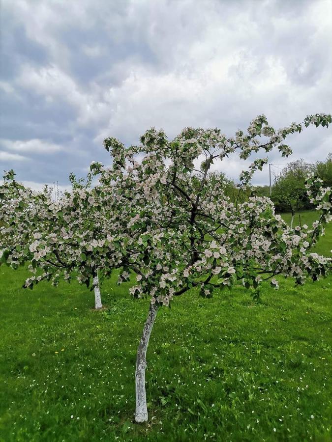 Villa Lana Bihać Zewnętrze zdjęcie